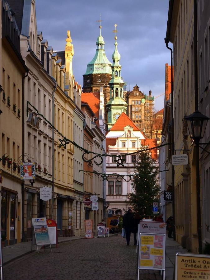 Apartment Saxonia ピルナ エクステリア 写真