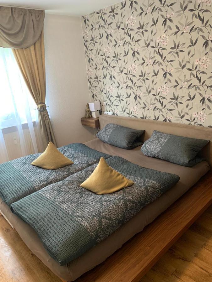 Apartment Saxonia ピルナ エクステリア 写真